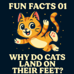 Fun Facts 01: Why Do Cats Always Land on Their Feet? 🐾
